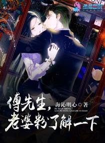 傅先生的老婆粉在线阅读